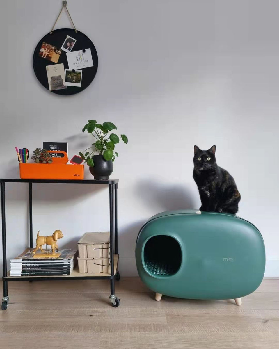 catsandfreckles2_4883_1200x120