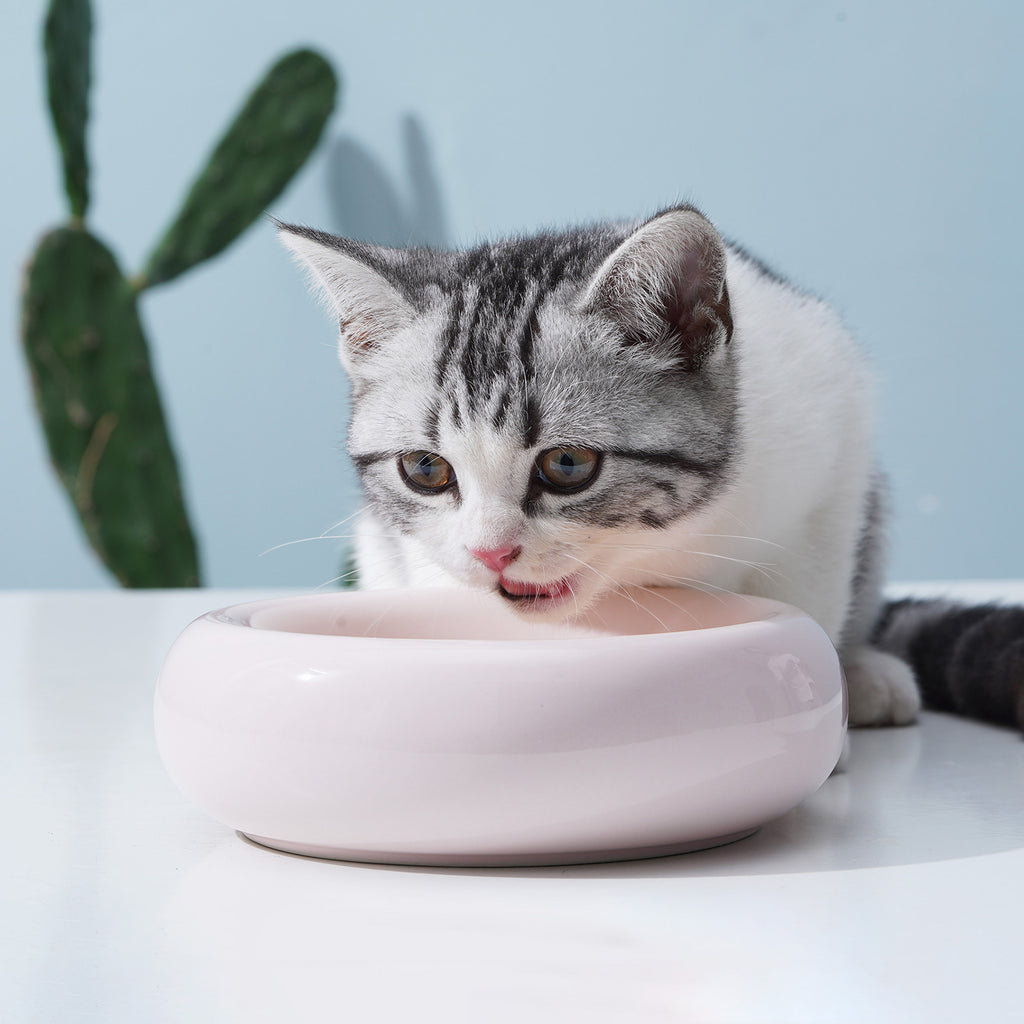 yummy 2in1 cat bowl– food&water