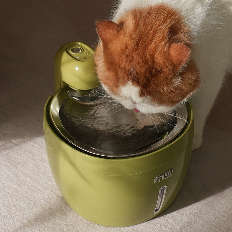 Cat water fountain pets at home sales