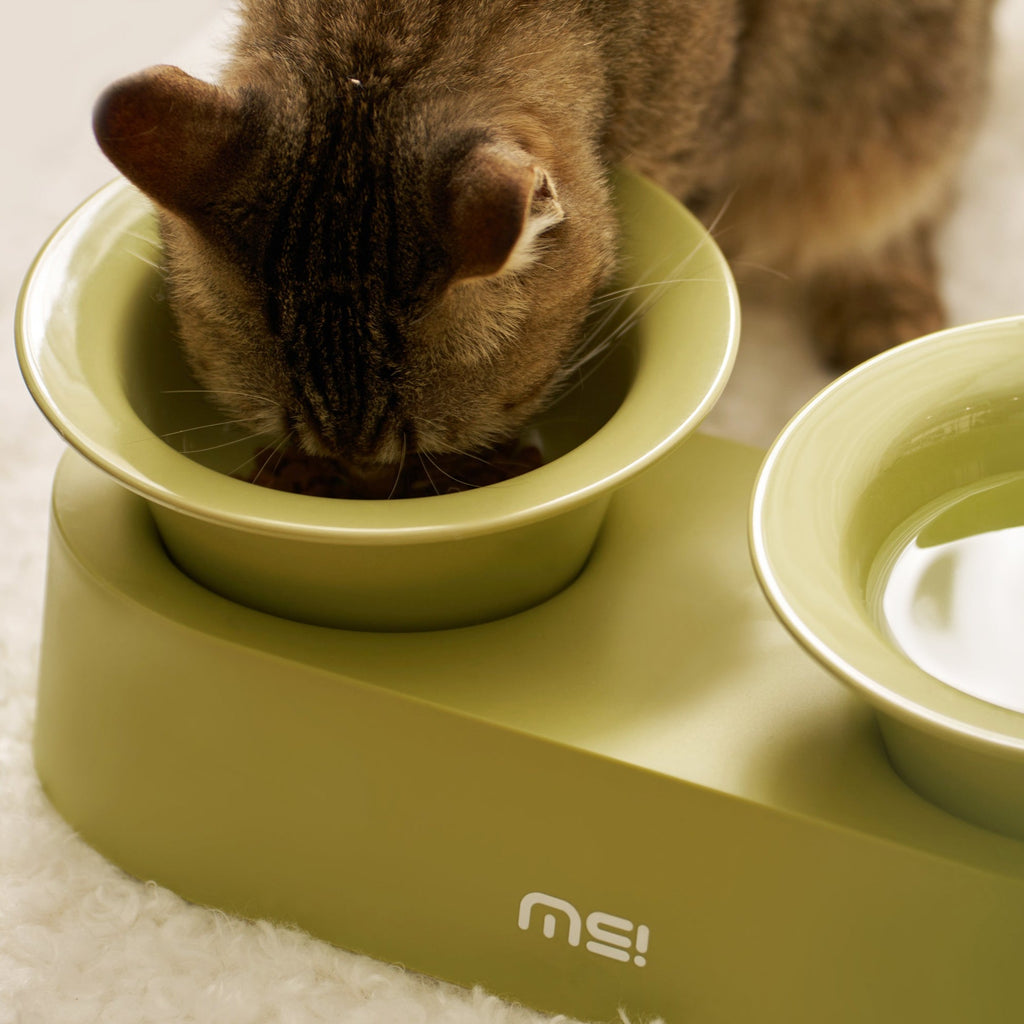 makesure green bowl with cats