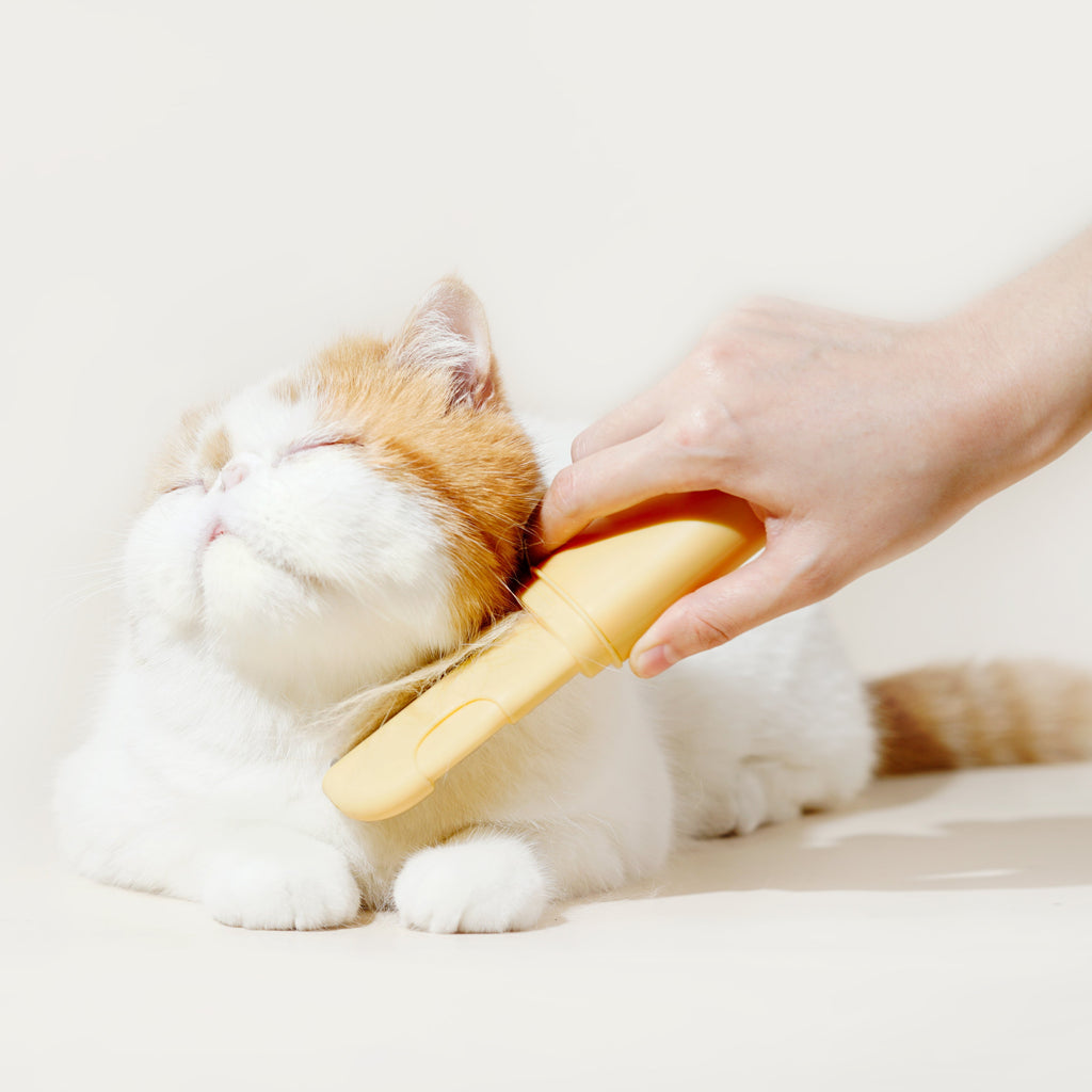 makesure cat comb