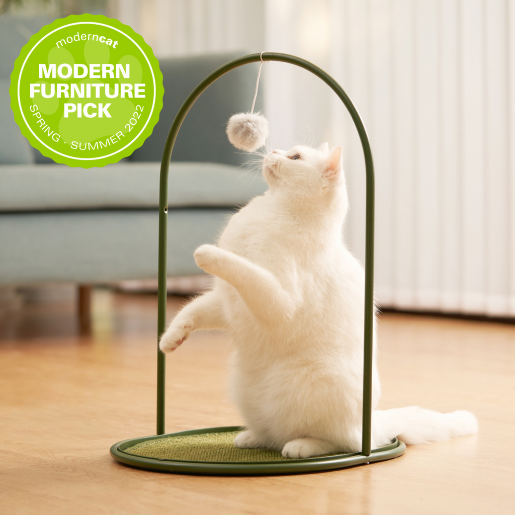 makesure cat scratching post-modern furniture