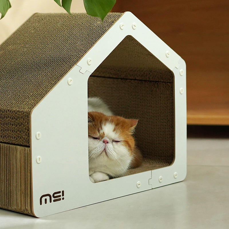 makesure BAIBAI Cat Scratching House-car naping inside