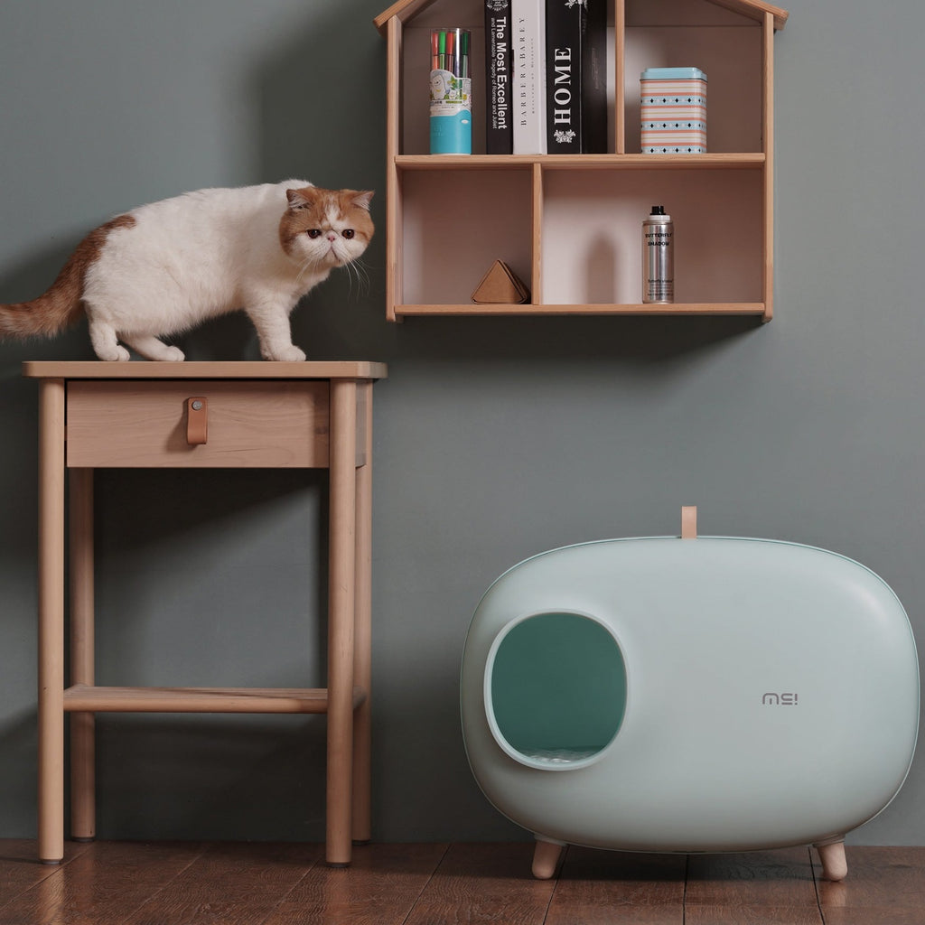 makesure modern cat litter box-light green at home