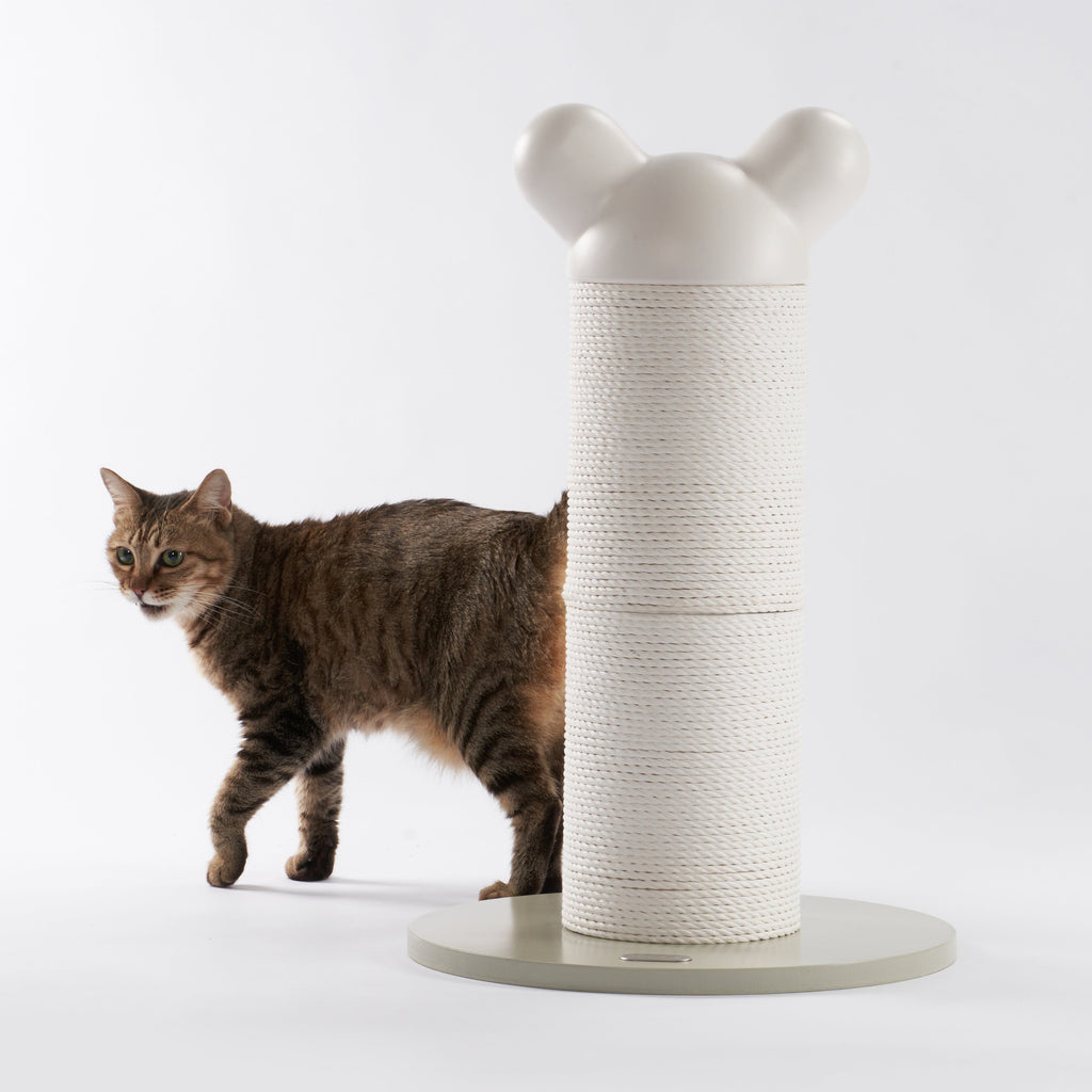 makesure new white cat scratcher and furniture give felines a place to keep claws strong and healthy