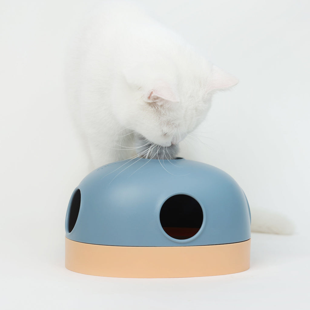 hola puzzle cat toy--make your cats busy and happy everyday blue+orange / 235*185*140 mm / pp+tpr