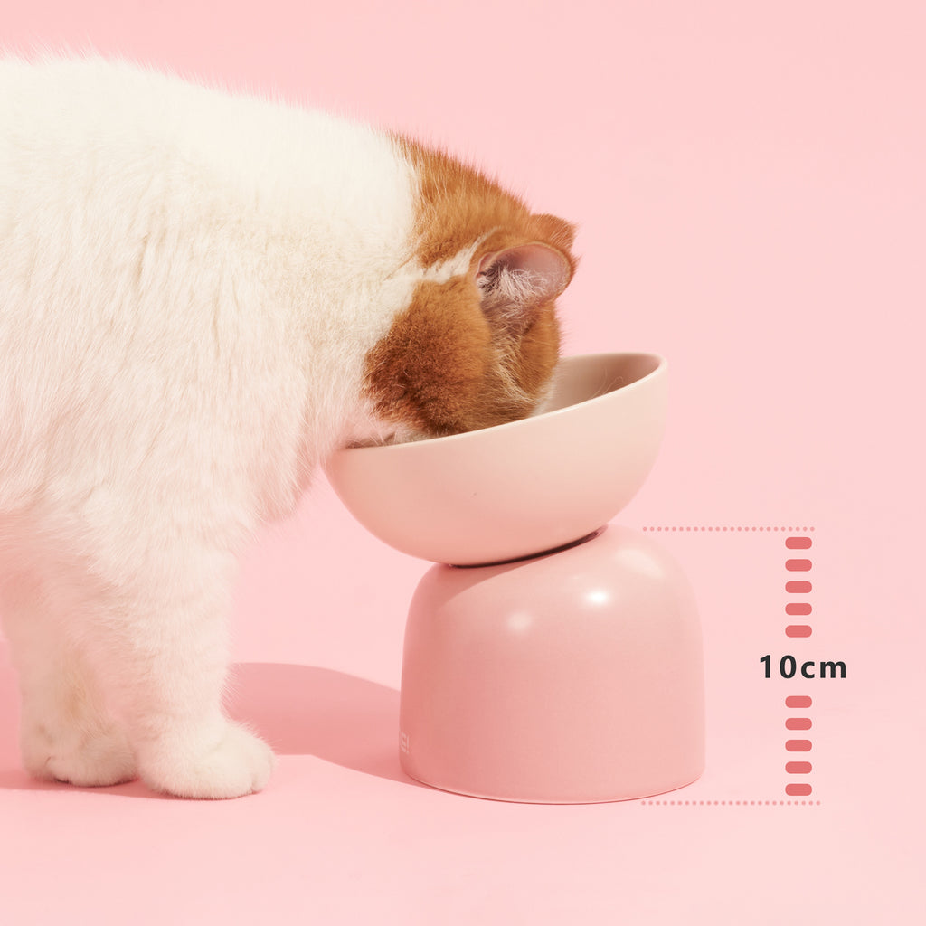 super cat bowl set – bigger, higher, healthier