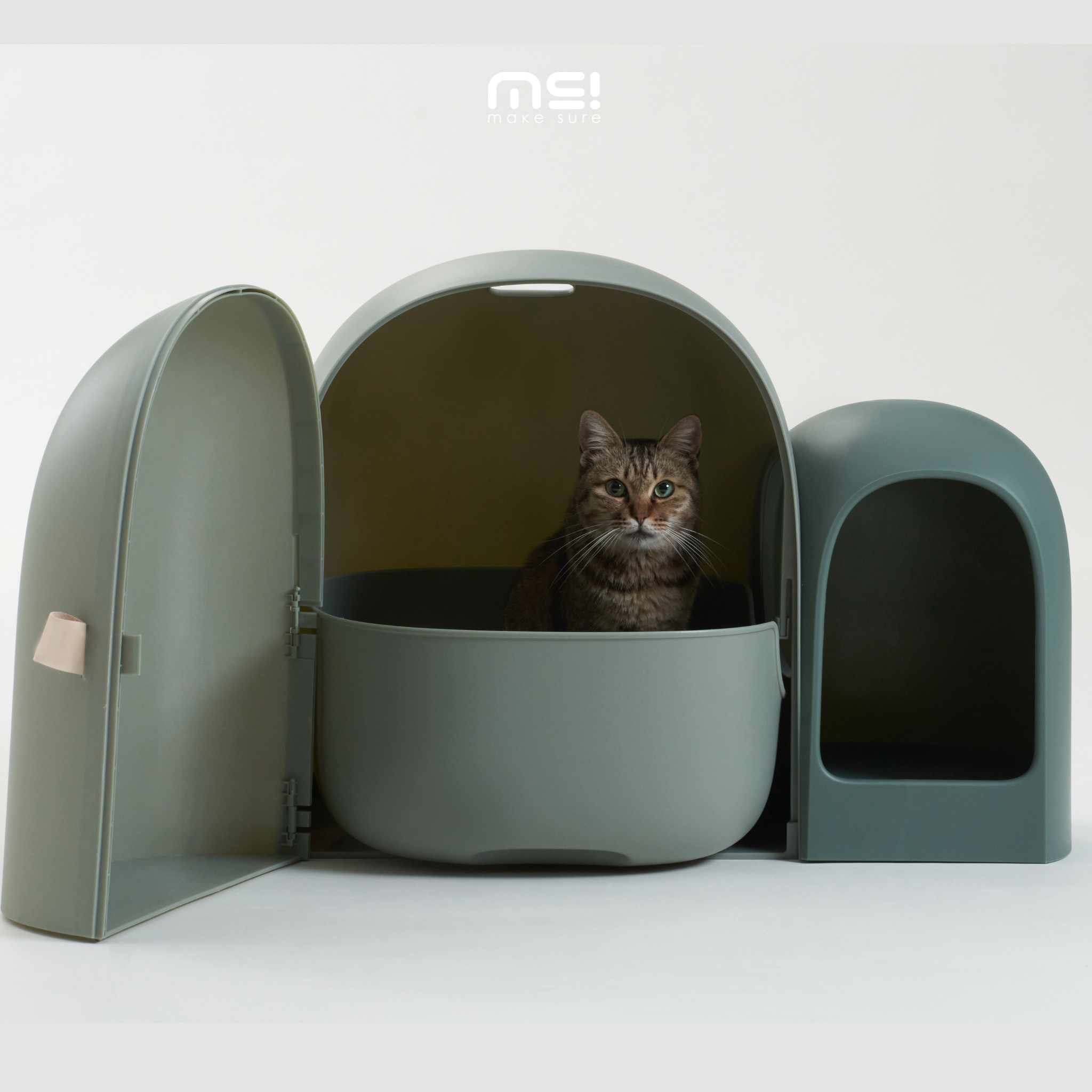 Modern cat litter online box