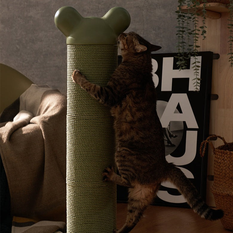makesure new green cat scratcher and furniture give felines a place to keep claws strong and healthy, as well as somewhere to play and relax